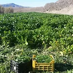 Petra Lucana Farma
