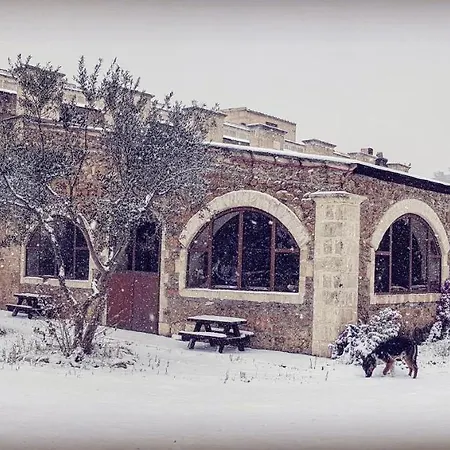 Petra Lucana Montescaglioso