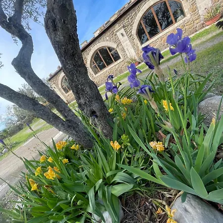 Alloggio per agriturismo Petra Lucana *