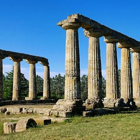 Petra Lucana *