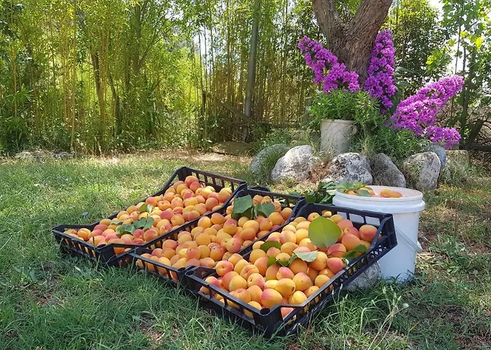 Petra Lucana * Montescaglioso